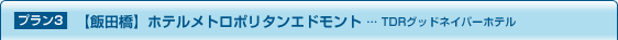 �v����3 �y�ѓc���z�z�e�����g���|���^���G�h�����g �c TDR�O�b�h�l�C�o�[�z�e��