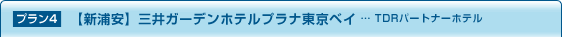 �v����4�y�V�Y���z�O��K�[�f���z�e���v���i�����x�C �c TDR�p�[�g�i�[�z�e��