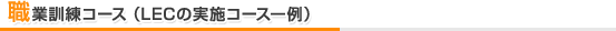 職業訓練コース (LECの実施コース一例)