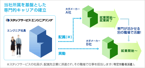 当社所属を基盤とした専門的キャリアの確立